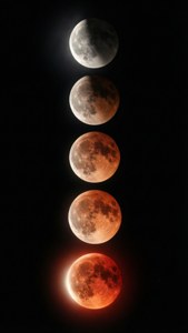 Five stages of a lunar eclipse showing moon turning red against black sky. — Lunar Eclipse Background