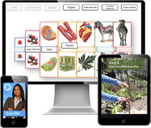 Pedagogiskt biologiappgränssnitt med diagram över cellstruktur och mobila enheter som visar quiz- och trädgårdsfunktioner. — Interaktiv Bakgrundsbilder