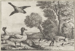 Eenden by Wenceslaus Hollar, created 1654 - 1662, in paper; etching. Download this artwork as a high-resolution wallpaper for desktop, tablet, or mobile. — Painting Picture
