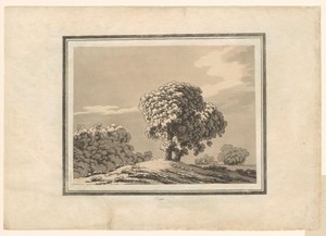 Elm by John Robert Cozens, created 1789, in paper; soft-ground etching; aquatint. Download this artwork as a high-resolution wallpaper for desktop, tablet, or m — John Robert Cozens Wallpaper