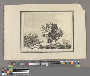 Elm by John Robert Cozens, in Soft-ground etching and aquatint on moderately thick, slightly textured, beige wove paper mounted on contemporary moderately thick — Art Wallpaper