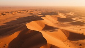 Vast desert dunes bathed in golden sunset light with soft shadows. — Saudi Arabia Background