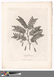 Ergett Dimmo by James Heath, in Etching and engraving on medium, moderately textured, cream laid paper. Download this artwork as a high-resolution wallpaper for — James Heath Wallpaper