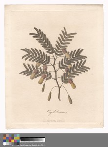 Ergett Dimmo by James Heath, in Etching and engraving with hand coloring in watercolor on medium, slightly textured, cream wove paper. Download this artwork as — James Heath Wallpaper