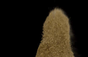 Goldene Sandpartikel in Bewegung vor einem schwarzen Hintergrund festgehalten. — Dust Storm Wallpaper