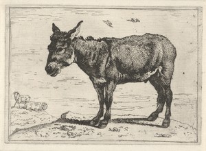 Ezel by Govert van der Leeuw, created 1655 - 1688, in paper; etching. Download this artwork as a high-resolution wallpaper for desktop, tablet, or mobile.