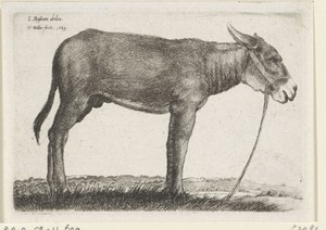 Ezel by Wenceslaus Hollar, created 1649, in paper; etching. Download this artwork as a high-resolution wallpaper for desktop, tablet, or mobile. — Painting Picture