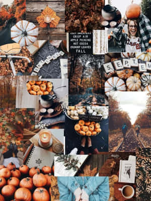 Colagem temática de outono com abóboras, folhas, velas e fotos aconchegantes de outono. — Fundo de colagem de outono Papéis de Parede