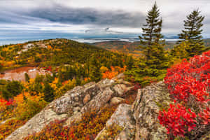 Höstskog med rött, orange och grönt lövverk sett från en klippig kulle under molnig himmel. — Fall Bilder