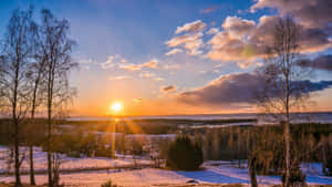 Pôr do sol de inverno sobre campos cobertos de neve com árvores nuas e floresta distante. — Plano de fundo da fazenda Papéis de Parede