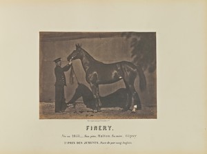 Finery by Adrien Alban Tournachon, created 1860. Download this artwork as a high-resolution wallpaper for desktop, tablet, or mobile. — Art Picture