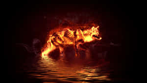 A wolf engulfed in flames standing in dark water.
