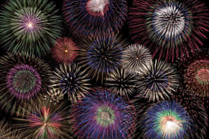 Colorful fireworks bursting in the night sky during a celebration. — Firecracker Picture
