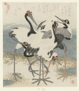 Five Cranes by Kubota Shunman, created c. 1816, in paper; color woodcut; blind-stamped. Download this artwork as a high-resolution wallpaper for desktop, tablet