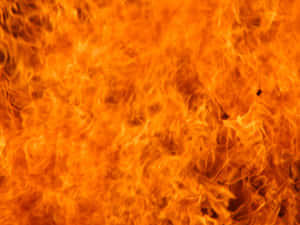 Close-up of roaring orange flames with swirling patterns and glowing edges. — Red Fire Background