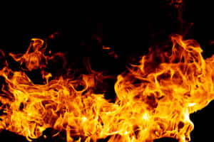 Dynamische Flammen in Orange und Gelb vor schwarzem Hintergrund — Firecrackers Wallpaper