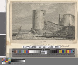 Flint by Thomas Tagg, died 1809, in Etching and engraving; published state on medium, smooth, cream wove paper. Download this artwork as a high-resolution wallp — Thomas Tagg, died 1809 Wallpaper