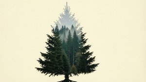 Double-exposure Christmas tree silhouette containing a forest landscape.