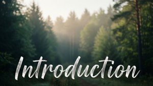 A nature wallpaper with white handwritten 'Introduction' over a misty forest at dawn.