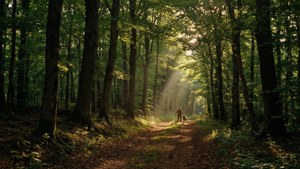 Pemandangan hutan yang diterangi matahari dengan seorang pemburu dan anjing dalam gaya detail Anastasi.