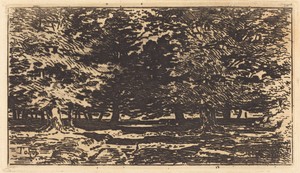 Forêt by Félix Hilaire Buhot, in etching on laid paper. Download this artwork as a high-resolution wallpaper for desktop, tablet, or mobile. — Félix Hilaire Buhot Wallpaper
