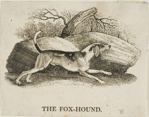 Fox Hound by Thomas Bewick, created n.d., in Woodcut on ivory wove paper. Download this artwork as a high-resolution wallpaper for desktop, tablet, or mobile. — Art Picture