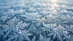 Une vue macro des motifs complexes de givre et de cristaux de glace à la surface de la Planète Neuf.