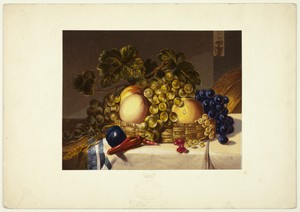 Fruit No. 1 by George Baxter, created 1856, in Steel etching, aquatint, and stipple printed in black, with block printing in colors, on wove paper, laid down on — Illustration Wallpaper