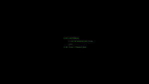 Green terminal text on black background showing system messages and commands. — Coding Picture