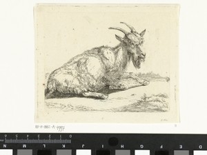Geit by Jan Dasveldt, created 1780 - 1855, in paper; etching. Download this artwork as a high-resolution wallpaper for desktop, tablet, or mobile. — Jan Dasveldt Wallpaper