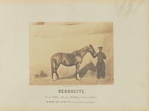 Georgette by Adrien Alban Tournachon, created 1860. Download this artwork as a high-resolution wallpaper for desktop, tablet, or mobile. — Painting Picture