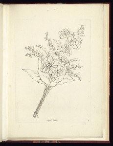 Girostée doublée by Charles-Germain de Saint-Aubin, created 1757–68, in Etching on paper. Download this artwork as a high-resolution wallpaper for desktop, tabl — Art Picture