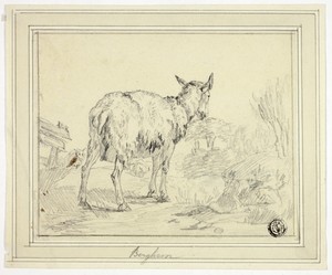 Goat by Nicolaes Berchem, created n.d., in Graphite on ivory wove paper, tipped onto ivory laid paper. Download this artwork as a high-resolution wallpaper for — Illustration Background