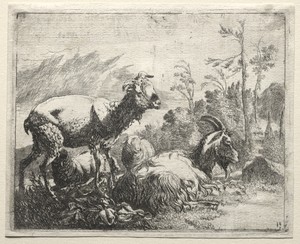 Goats by Johann Heinrich Roos, created 1665, in etching. Download this artwork as a high-resolution wallpaper for desktop, tablet, or mobile. — Johann Heinrich Roos Wallpaper