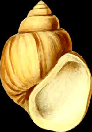 En gylden spiral konkylie illustration med blød akvareltekstur og sort baggrund — Seashell Billeder