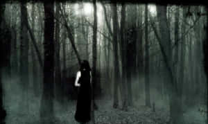 A mysterious figure in a dark dress stands alone in a foggy forest at night. — Gothic Computer Picture