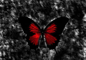 A red and black butterfly with glowing wings on a dark textured background. — Gothic Computer Picture