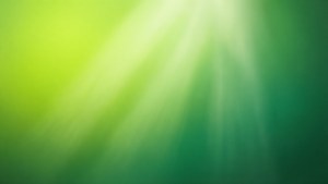 Smooth green gradient blending lime to emerald with light rays