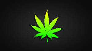 Neon green cannabis leaf on textured black background with glowing effect.