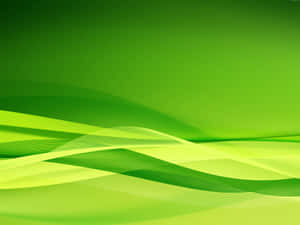 Smooth flowing green abstract waves with gradient background — Green Nature Picture