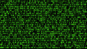Código digital verde rolando em fundo preto — Programação Papéis de Parede
