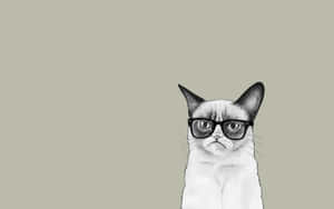 Eine mürrische Katze mit schwarzumrandeter Brille und finsterem Ausdruck. — Lustige Katzenmeme bilder