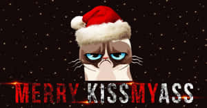 Mürrische Katze in Weihnachtsmütze mit 'MERRY KISSMYASS' Text auf sternenklarem Hintergrund — Niedliche Weihnachtskatze Wallpaper
