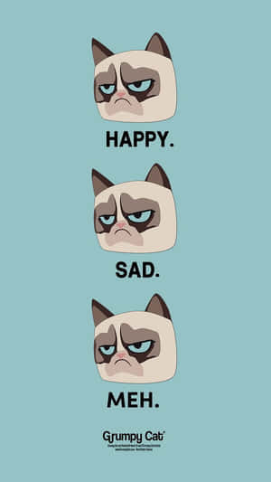 Trois visages de Grumpy Cat étiquetés happy sad meh sur fond bleu — Grumpy Cat Fonds d'écran