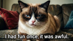 Grumpy Cat meme med klassisk irritert blikk og morsom tekst.