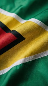 Un primo piano dettagliato del tessuto della bandiera della Guyana che mostra la sua texture.