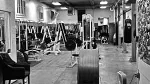 Black and white gym interior with weight machines mirrors and a punching bag. — Gym Wallpaper