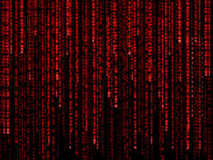 Red digital code falling like rain on a black screen. — Hacker Wallpaper