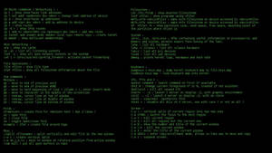 Linux-Terminalbildschirm mit grünem Befehlszeilentext auf schwarzem Hintergrund.