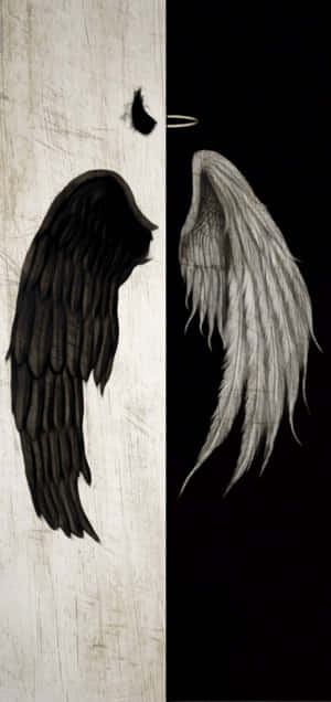 Black and white angel wings split down the middle with halo on right side. — Half Background